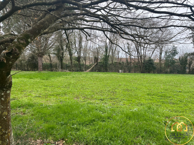 Offres de vente Terrain Talmont-Saint-Hilaire (85440)
